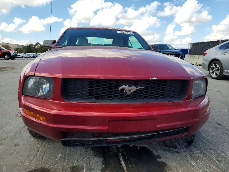 Photo 5 from auction – 2005 FORD MUSTANG with VIN 1ZVFT84N655254759