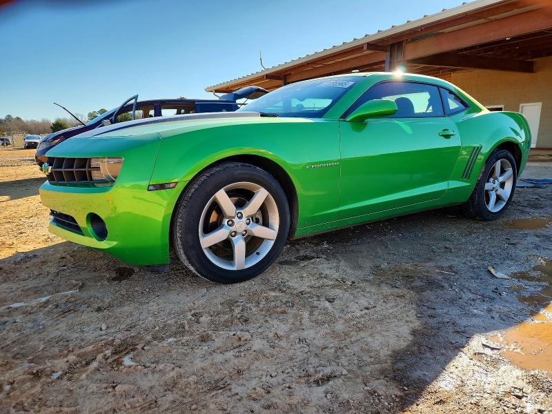 CHEVROLET CAMARO LT 2010 with VIN 2G1FB1EV2A9199891 - Photo from auction