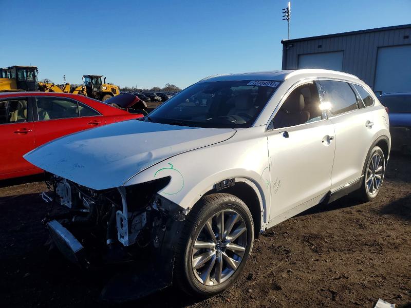 MAZDA CX-9 GRAND 2019 with VIN JM3TCADY8K0316069 - Photo from auction