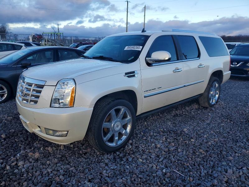 CADILLAC ESCALADE 2010 with VIN 1GYUCJEFXAR201150 - Photo from auction