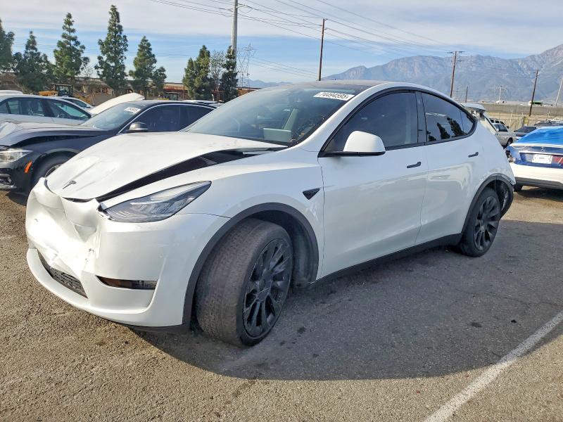 TESLA MODEL Y 2023 with VIN 7SAYGDEE0PA113565 - Photo from auction