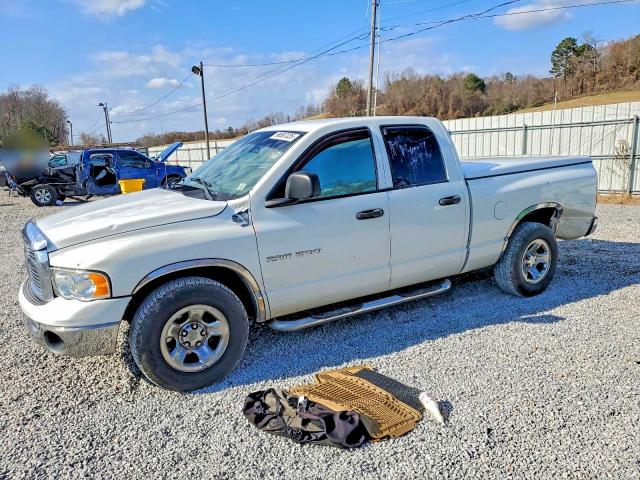 DODGE RAM 1500 S 2003 with VIN 1D7HA18N73J622654 - Photo from auction