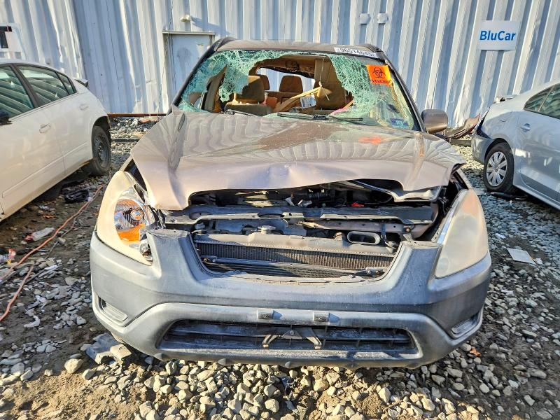 Photo 5 from auction – 2004 HONDA CR-V EX with VIN JHLRD78834C048470