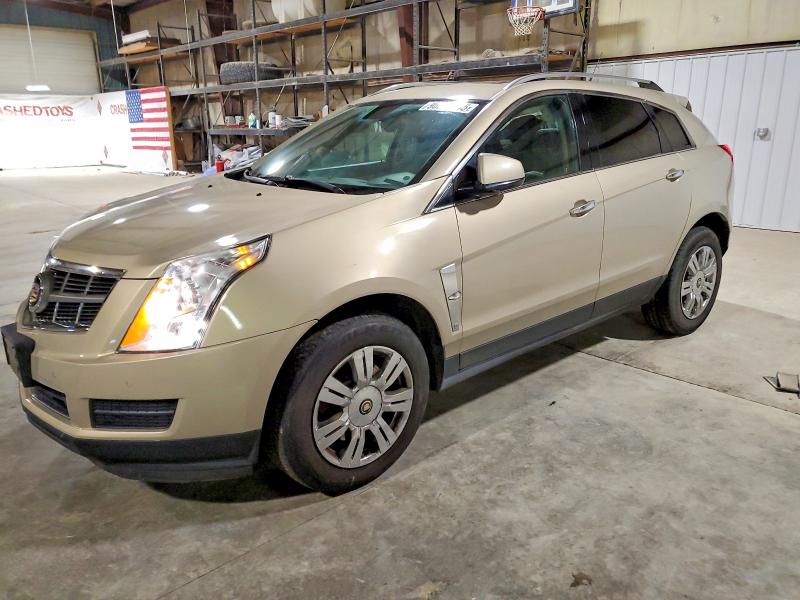 CADILLAC SRX 2010 with VIN 3GYFNAEY6AS649709 - Photo from auction