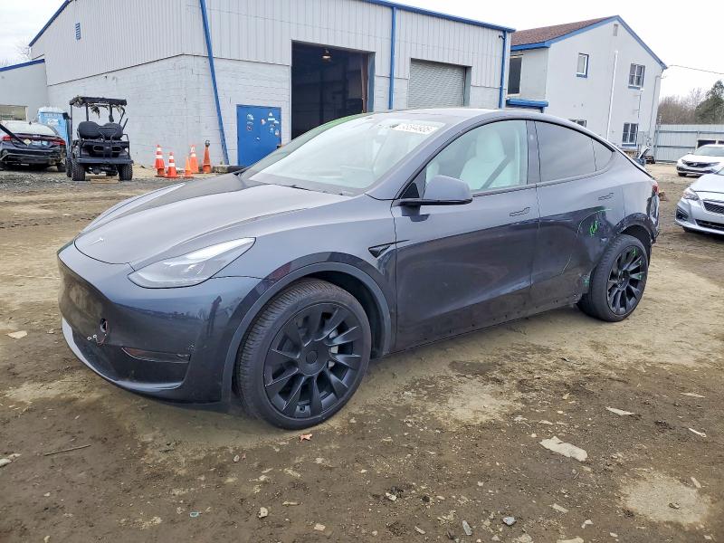 TESLA MODEL Y 2024 with VIN 7SAYGDED5RF075845 - Photo from auction