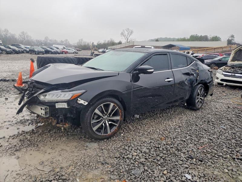 NISSAN MAXIMA 2019 with VIN 1N4AA6AV3KC362555 - Photo from auction