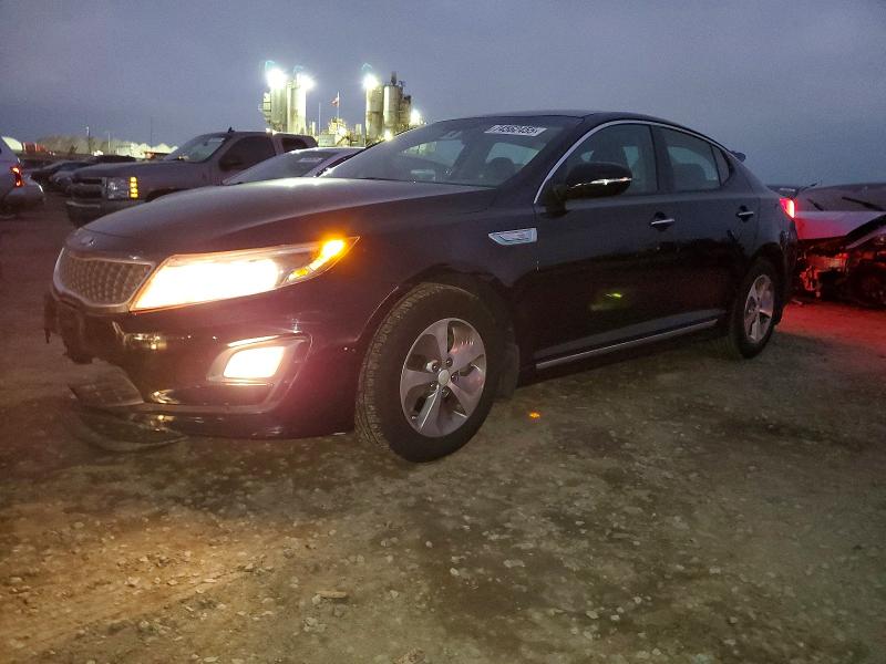 KIA OPTIMA 2016 with VIN KNAGM4AD0G5095990 - Photo from auction