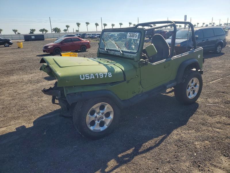 JEEP WRANGLER / 1993 with VIN 1J4FY49S1PP239308 - Photo from auction