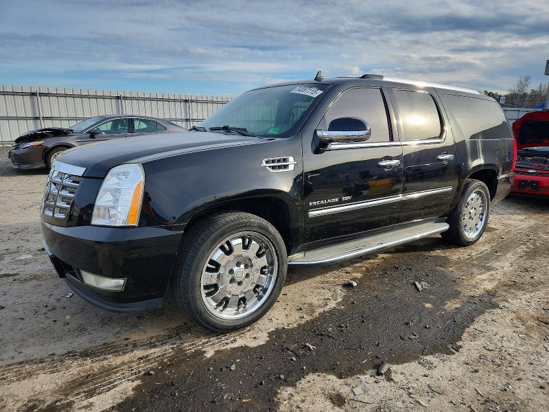 CADILLAC ESCALADE E 2010 with VIN 1GYUKGEF8AR277827 - Photo from auction