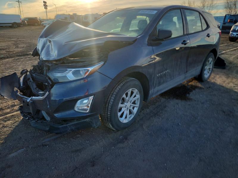 CHEVROLET EQUINOX LS 2019 with VIN 3GNAXSEV5KL263484 - Photo from auction