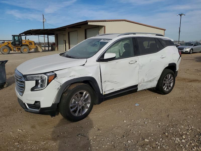 GMC TERRAIN 2024 with VIN 3GKALVEG0RL305761 - Photo from auction
