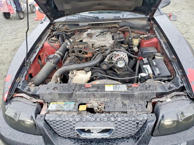 Photo 11 from auction – 2004 FORD MUSTANG with VIN 1FAFP40674F219659