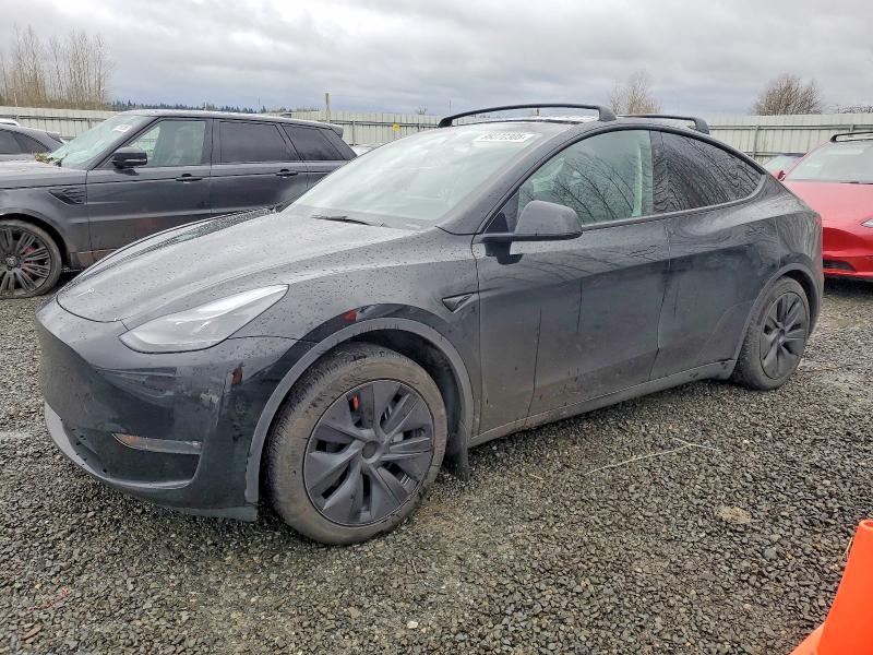 TESLA MODEL Y 2025 with VIN 7SAYGAEE0SF215832 - Photo from auction