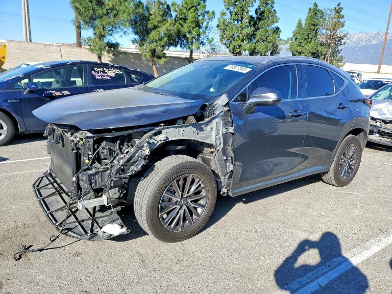 LEXUS NX 2024 with VIN 2T2AGCEZ4RC050522 - Photo from auction