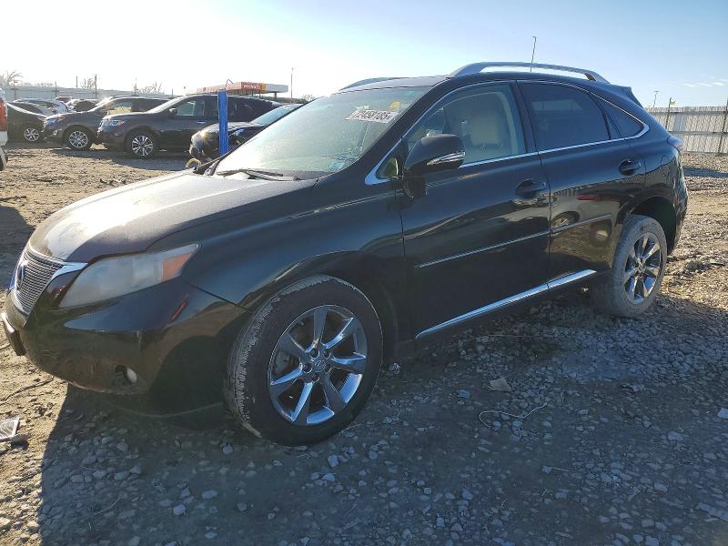 LEXUS RX 350 2010 with VIN 2T2BK1BA1AC061648 - Photo from auction