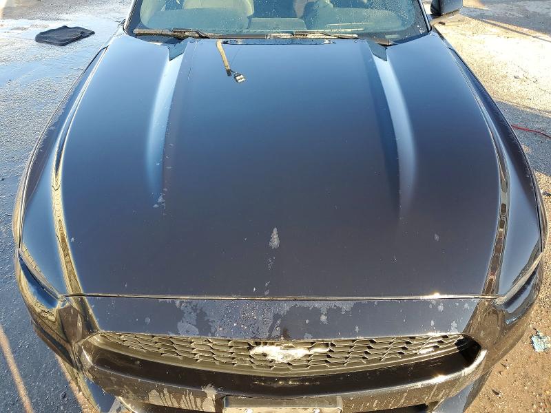 Photo 11 from auction – 2017 FORD MUSTANG with VIN 1FA6P8AM6H5246531