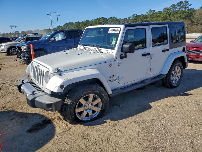 JEEP WRANGLER U 2017 with VIN 1C4BJWEG3HL678704 - Photo from auction
