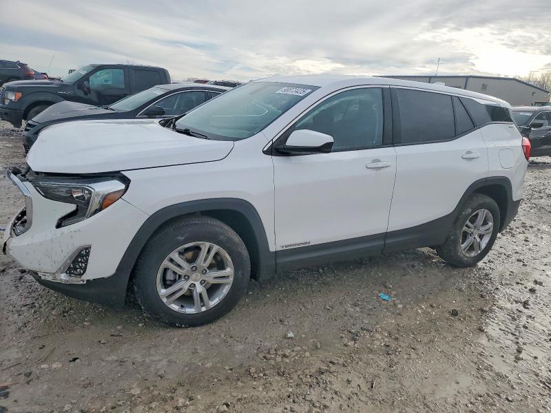GMC TERRAIN SL 2019 with VIN 3GKALMEV9KL110045 - Photo from auction