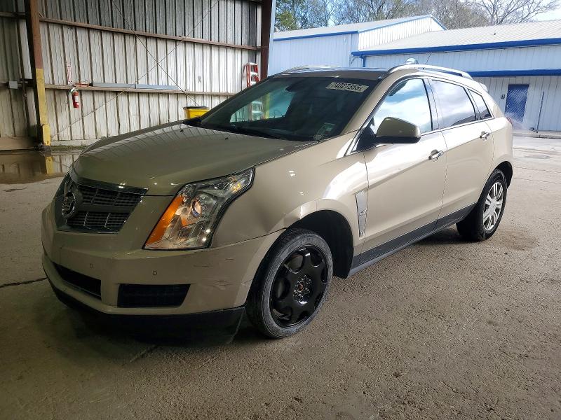 CADILLAC SRX 2011 with VIN 3GYFNAEY7BS530844 - Photo from auction