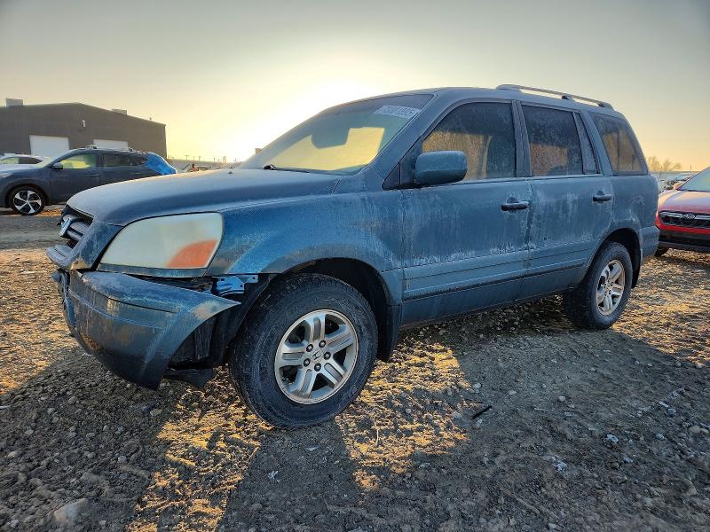 HONDA PILOT EXL 2005 with VIN 2HKYF18695H561064 - Photo from auction