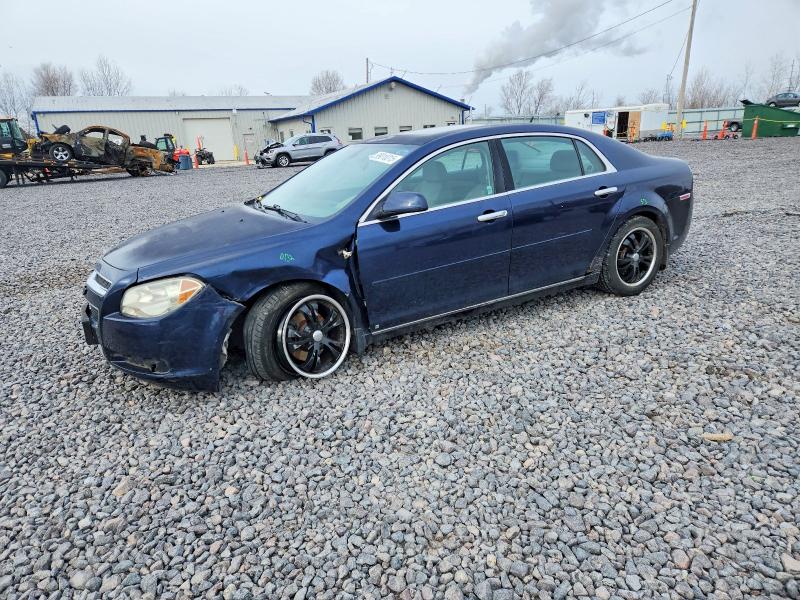 CHEVROLET MALIBU 1LT 2008 with VIN 1G1ZH57B284242306 - Photo from auction