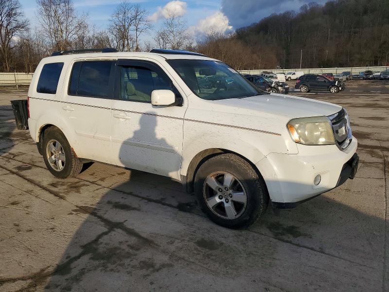 Photo 4 from auction – 2009 HONDA PILOT EXL with VIN 5FNYF48619B028504