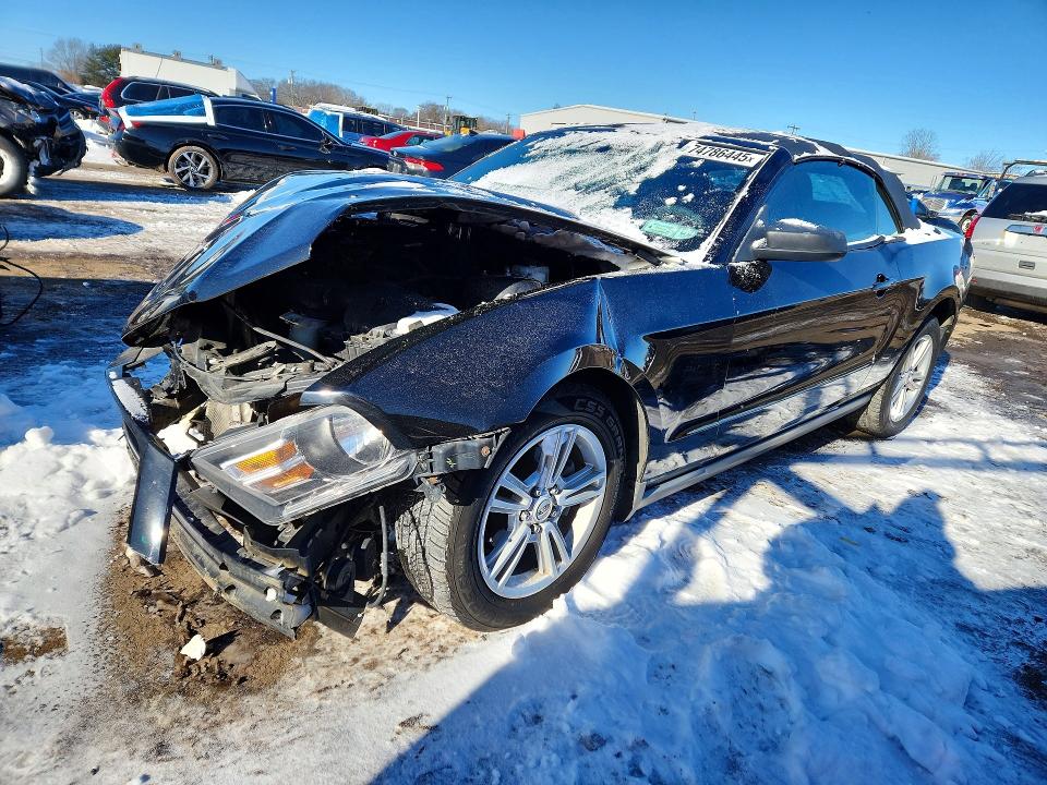 FORD MUSTANG 2010 with VIN 1ZVBP8EN7A5114473 - Photo from auction