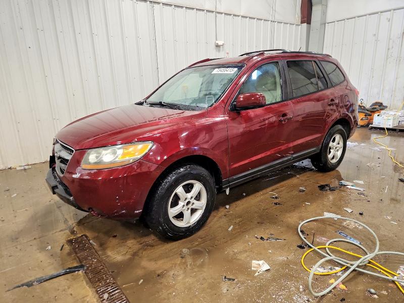 HYUNDAI SANTA FE G 2007 with VIN 5NMSG13D87H048431 - Photo from auction