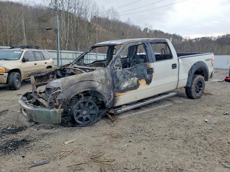 FORD F150 2010 with VIN 1FTFW1E84AFA41971 - Photo from auction