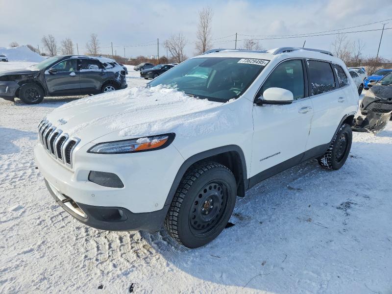 JEEP CHEROKEE 2017 with VIN 1C4PJMDS9HD225164 - Photo from auction