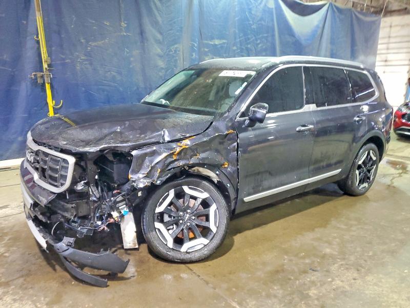 KIA TELLURIDE 2025 with VIN 5XYP64GC2SG660896 - Photo from auction