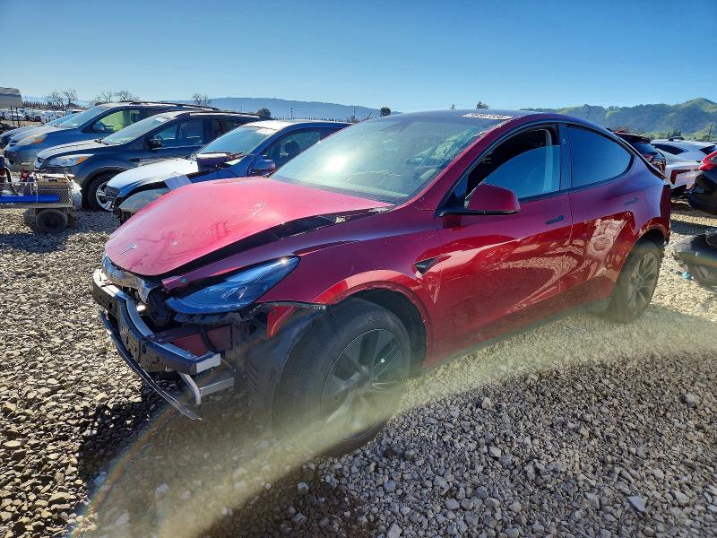 TESLA MODEL Y 2024 with VIN 7SAYGDED3RA304598 - Photo from auction