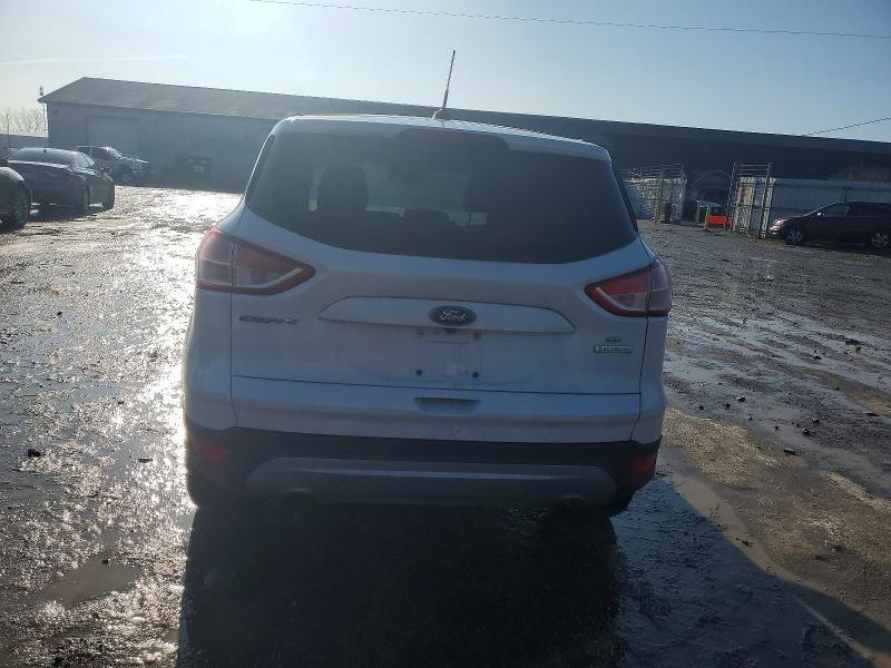 Photo 6 from auction – 2014 FORD ESCAPE with VIN 1FMCU0GX0EUB66955