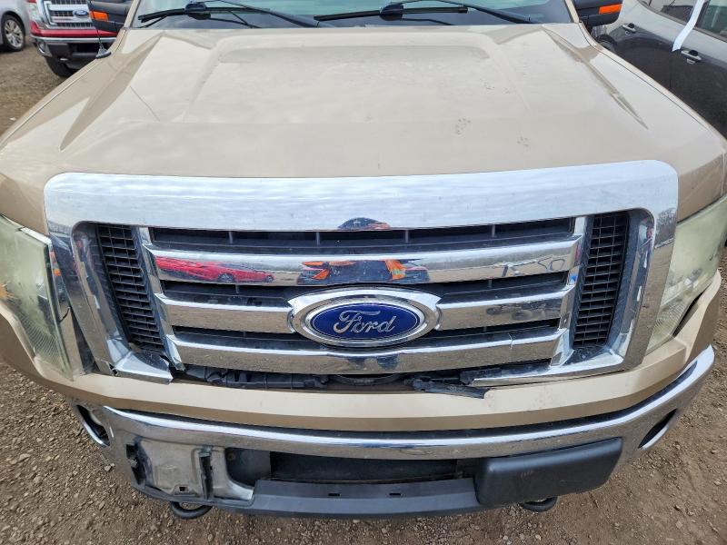 Photo 11 from auction – 2011 FORD F150 with VIN 1FTMF1EM1BKD25877