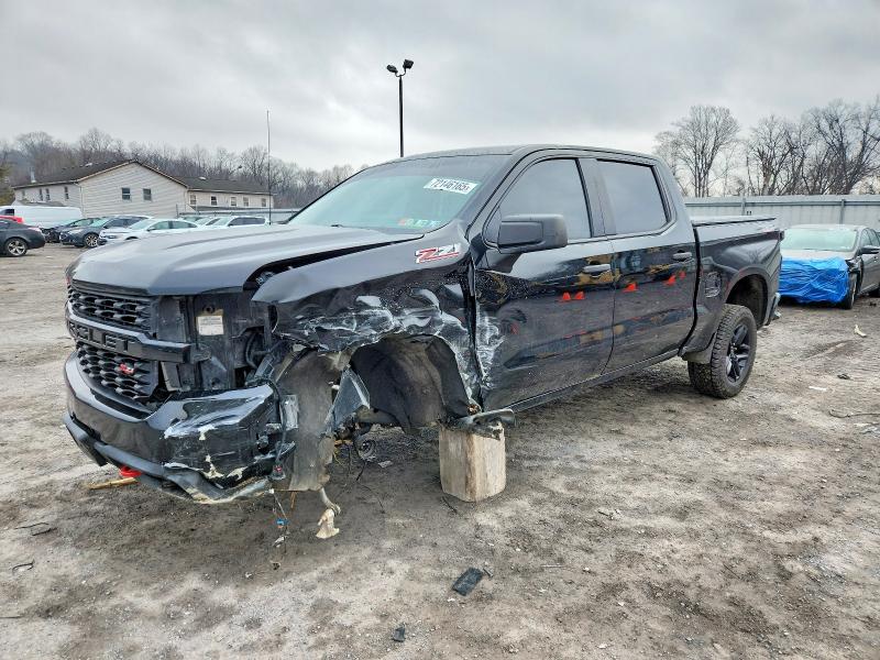 CHEVROLET SILVERADO 2019 with VIN 1GCPYCEF7KZ290127 - Photo from auction
