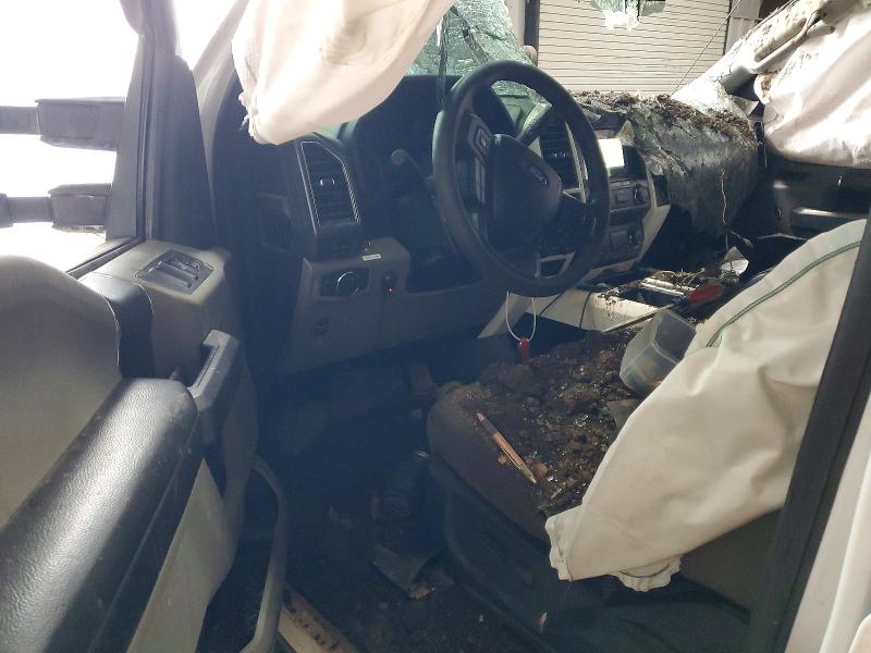 Photo 8 from auction – 2019 FORD F150 with VIN 1FTEW1E48KFC66775