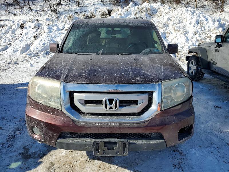 Photo 5 from auction – 2009 HONDA PILOT EXL with VIN 5FNYF48629B007273