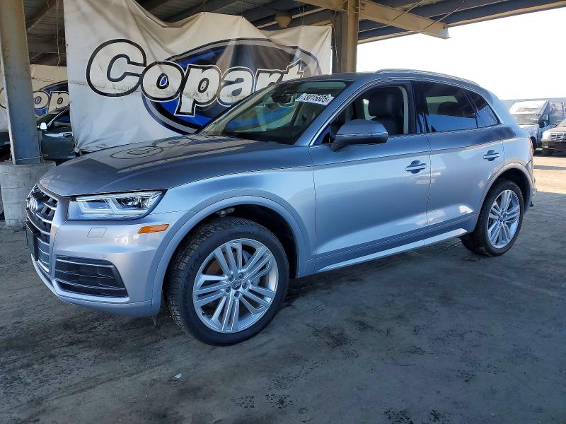 AUDI Q5 PREMIUM 2019 with VIN WA1BNAFY2K2029935 - Photo from auction