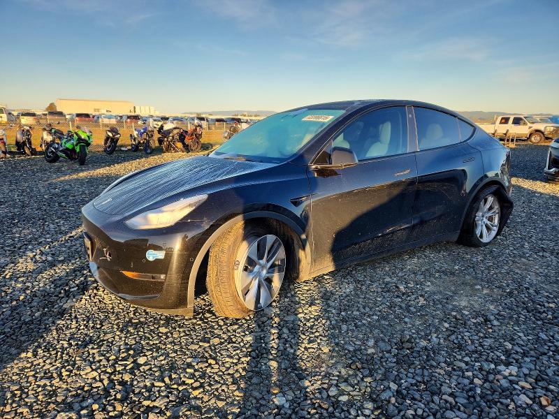 TESLA MODEL Y 2021 with VIN 5YJYGAEE6MF271788 - Photo from auction
