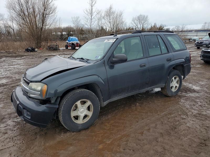 CHEVROLET TRAILBLAZE 2005 with VIN 1GNDT13S052363249 - Photo from auction