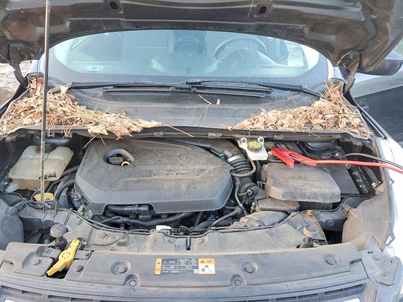 Photo 12 from auction – 2015 FORD ESCAPE SE with VIN 1FMCU0GX0FUA15681