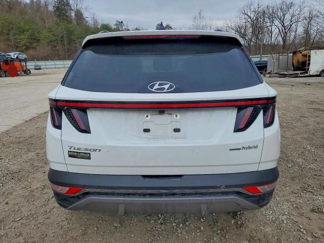 Photo 6 from auction – 2024 HYUNDAI TUCSON LIM with VIN KM8JECD10RU219200