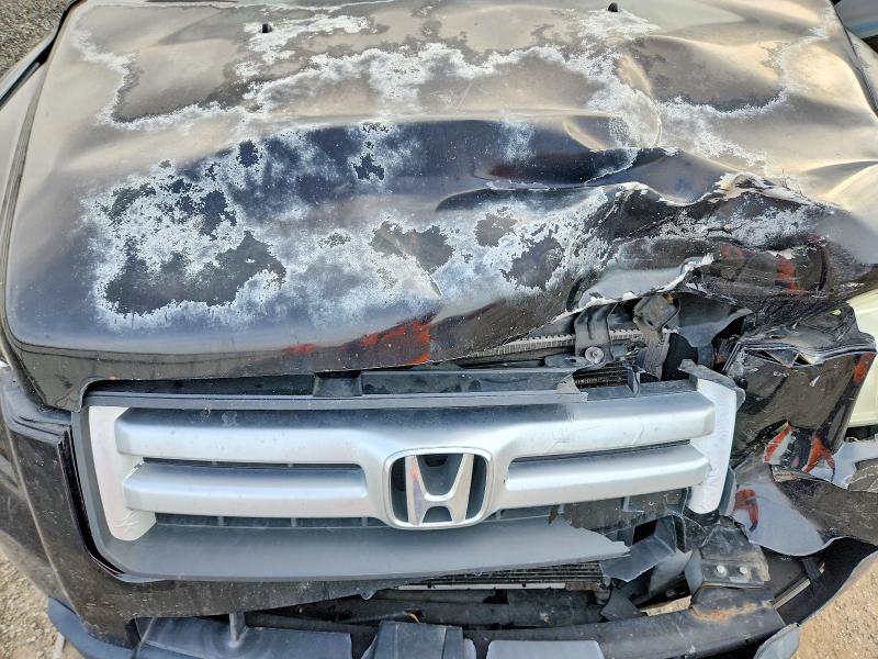 Photo 12 from auction – 2007 HONDA PILOT EXL with VIN 5FNYF28517B012005