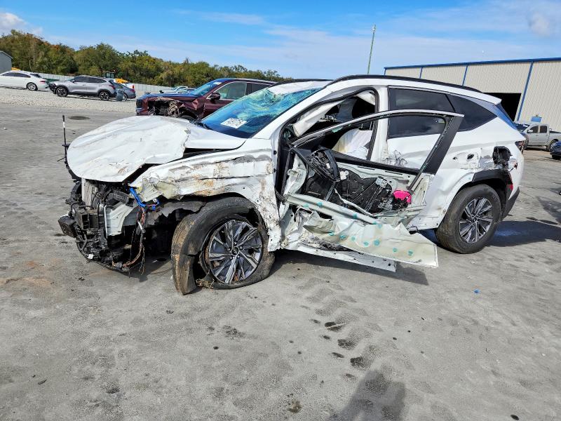 HYUNDAI TUCSON BLU 2022 with VIN KM8JBCA18NU075970 - Photo from auction