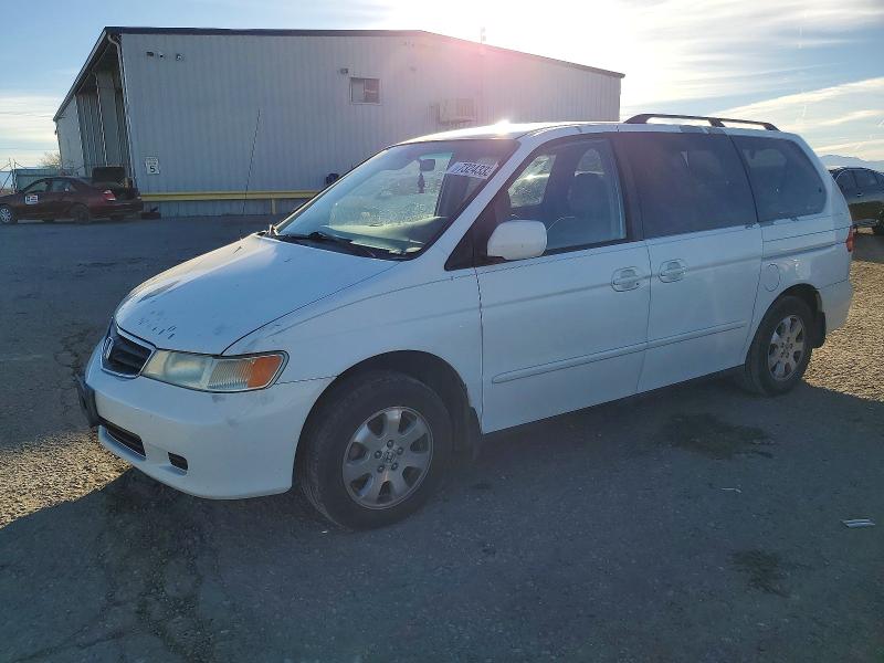 HONDA ODYSSEY 2004 with VIN 5FNRL18844B143880 - Photo from auction