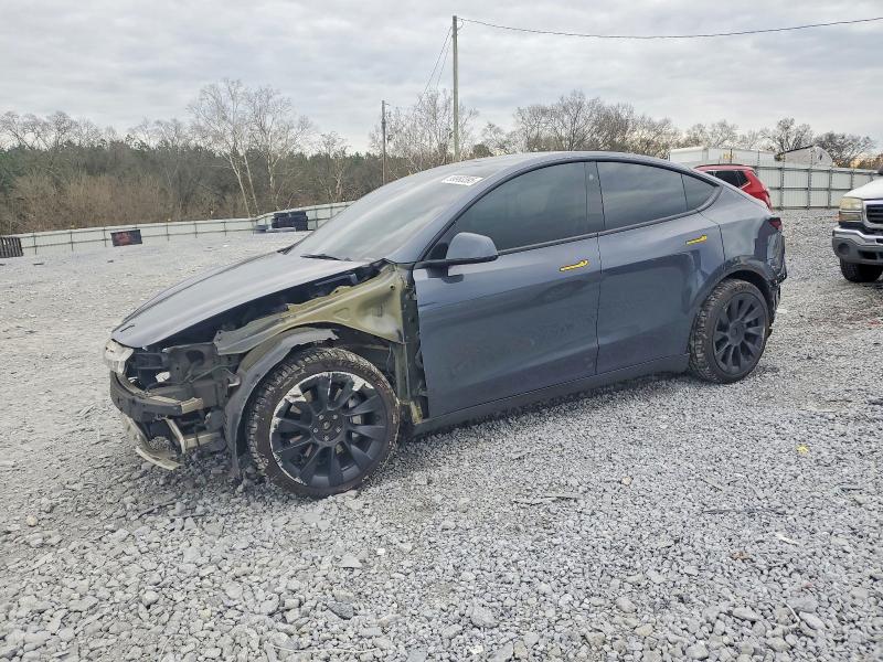 TESLA MODEL Y 2023 with VIN 7SAYGDEE1PA029092 - Photo from auction