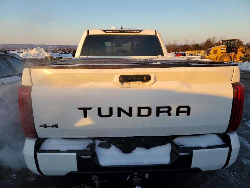 Photo 6 from auction – 2023 TOYOTA TUNDRA with VIN 5TFLA5DA5PX083596