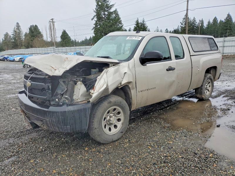 CHEVROLET SILVERADO 2008 with VIN 1GCEC19XX8Z298647 - Photo from auction