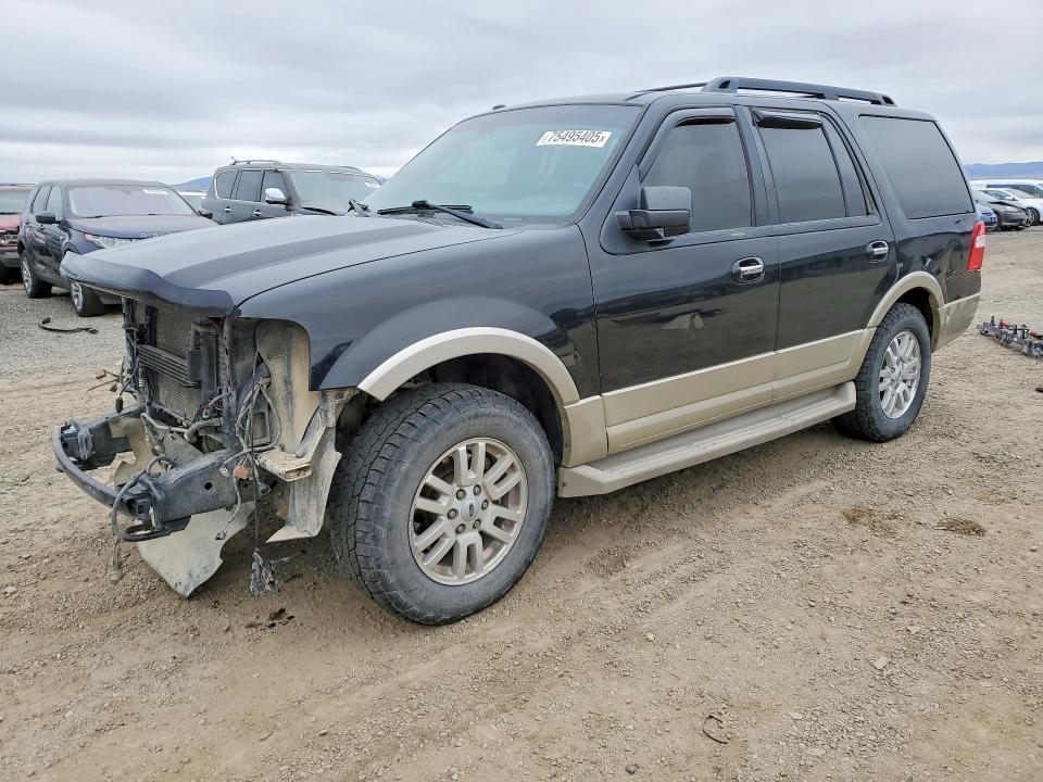 FORD EXPEDITION 2010 with VIN 1FMJU1J52AEB63466 - Photo from auction