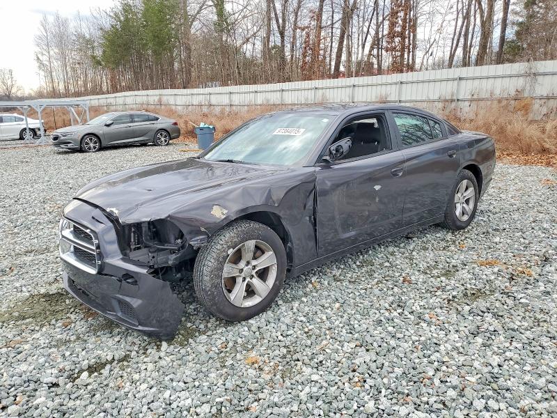 DODGE CHARGER 2014 with VIN 2C3CDXBG2EH369373 - Photo from auction